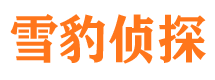 罗山寻人公司